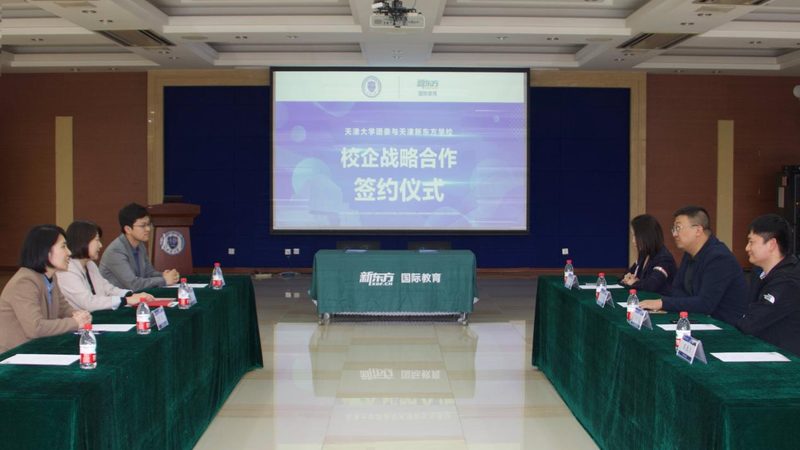 学历教育vs技能培训：两大教育模式的区别解析